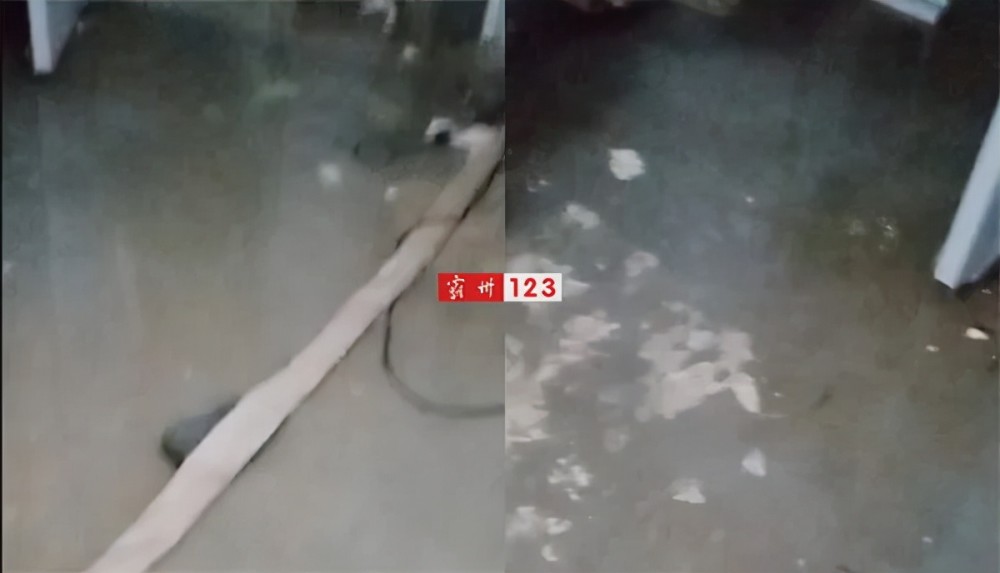 杨芬港手机维修