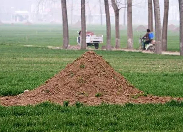 全国范围内取消"土葬",以后村里的坟这样处理_腾讯新闻