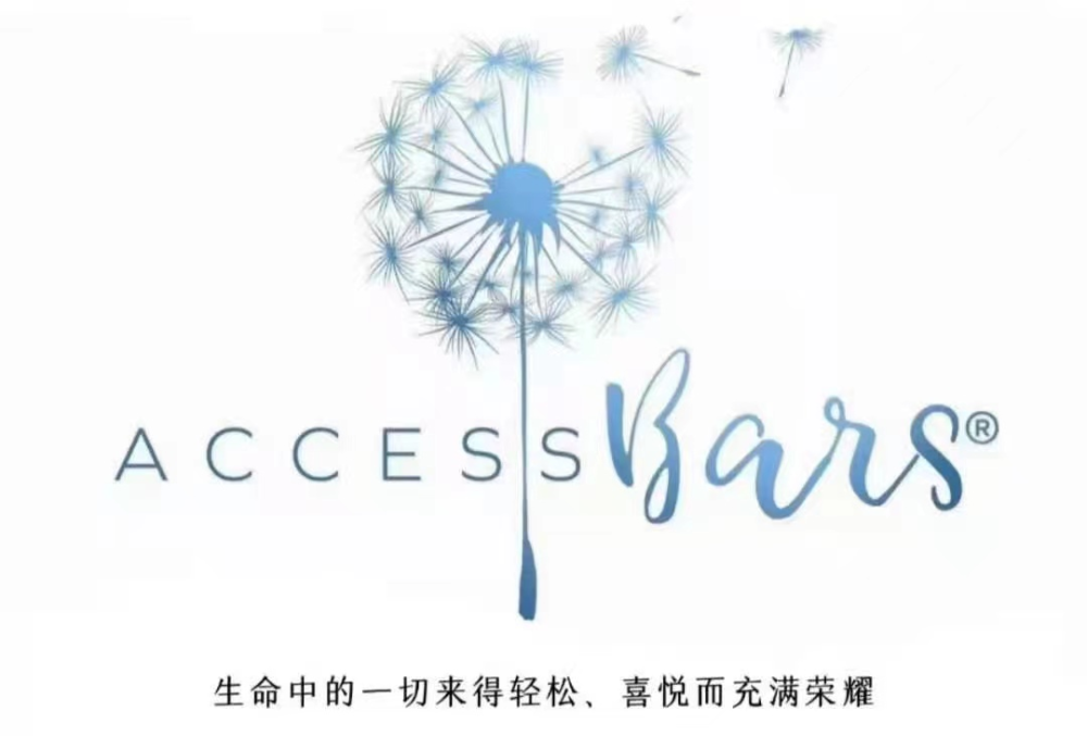 什么是accessbars