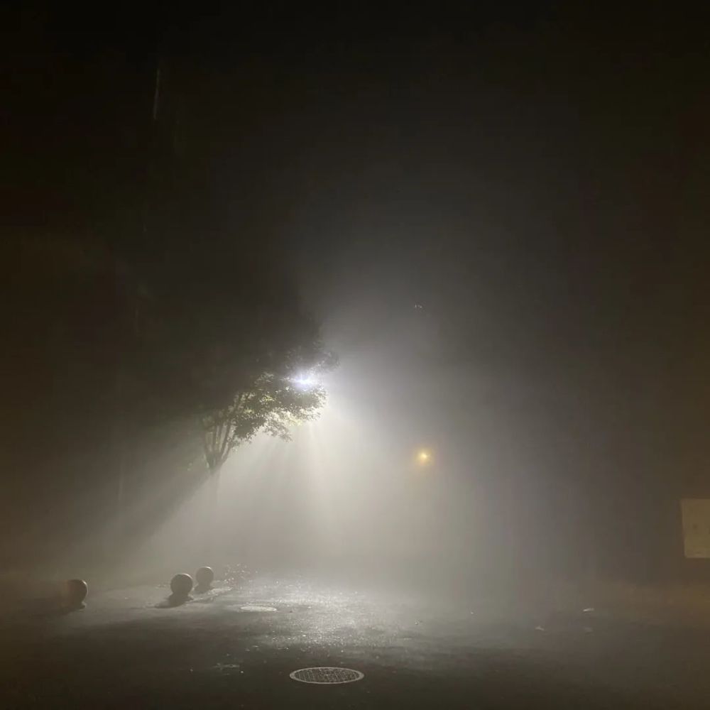 起雾啦,看一看雾中天大_腾讯新闻