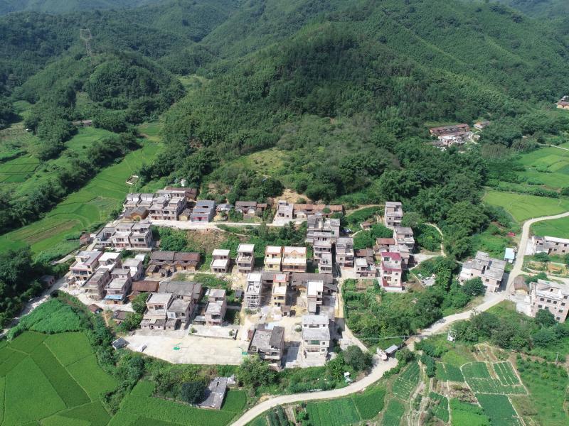 谋划产业布局驻石狗镇帮镇扶村工作队助力乡村振兴