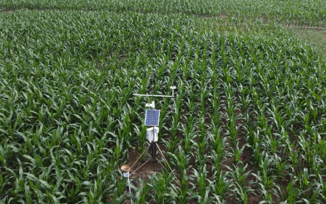 关注国家科技进步奖丨梅旭荣:占耕地近半的旱地农业潜力巨大