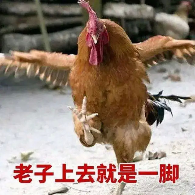 本来跨省偷鸡这事就够搞笑了,更奇葩的是,经法官披露,被告人已经不是