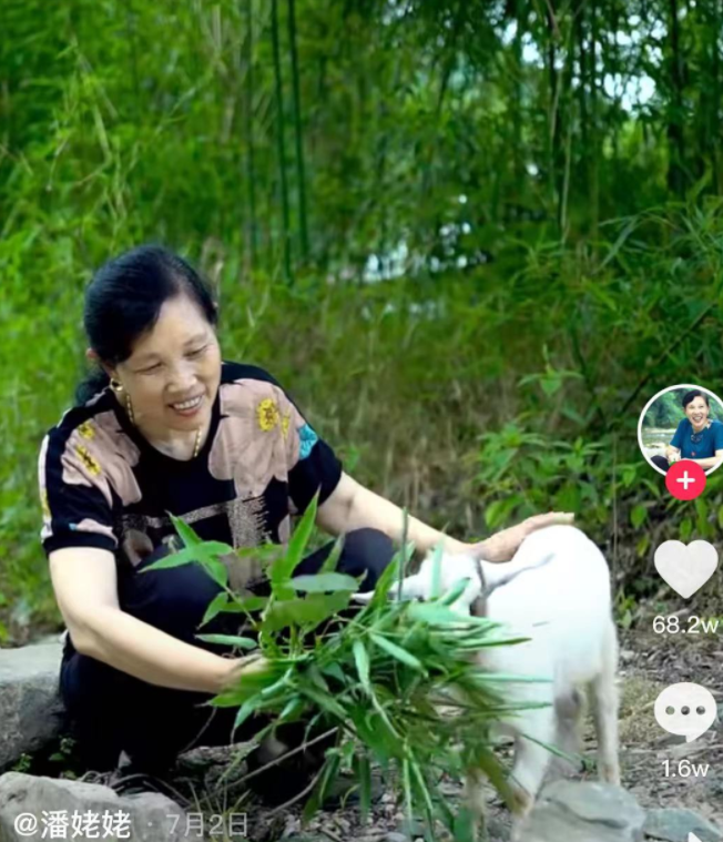 "山村网红"潘姥姥:从负债累累到年入1800万,她到底经历了什么?