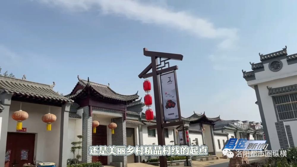 万余只白骨顶鸡飞临陆浑湖越冬!