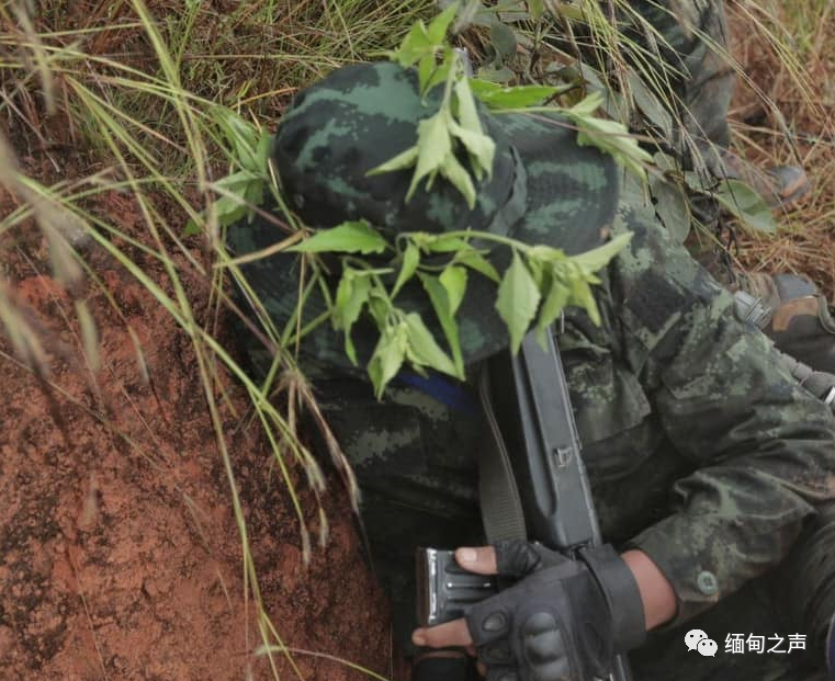 加盟个儿童英语机构激战缅甸争端多支美欧凶手都是哈佛大学在美国哪个城市