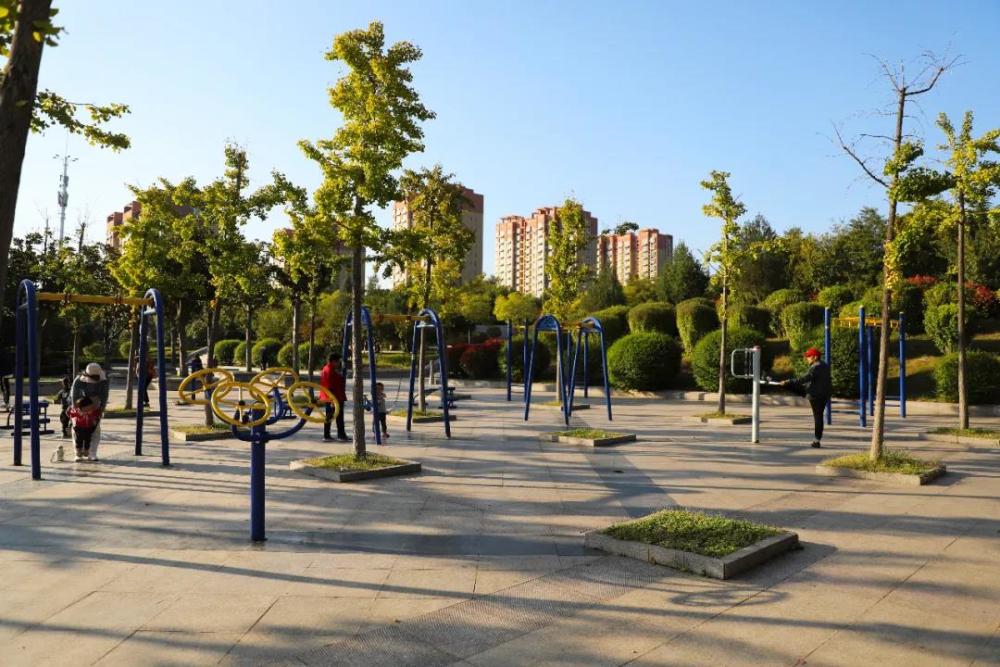 令人流连忘返枣庄峄城环城绿道呈现秋日美景