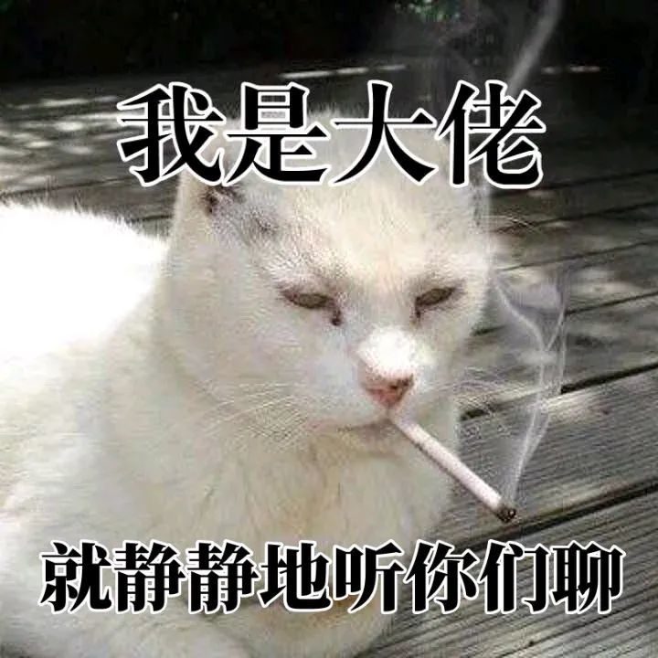 抖音快手的热门表情包