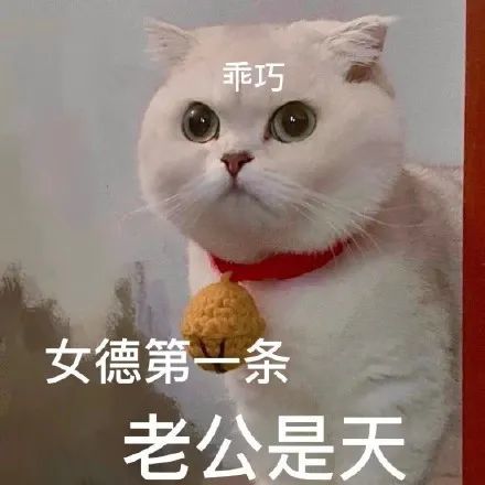 猫咪老公奴老婆奴表情包!