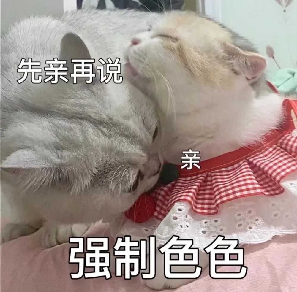 粘人怪系列!猫咪老公奴老婆奴表情包!