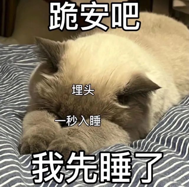 粘人怪系列!猫咪老公奴老婆奴表情包!