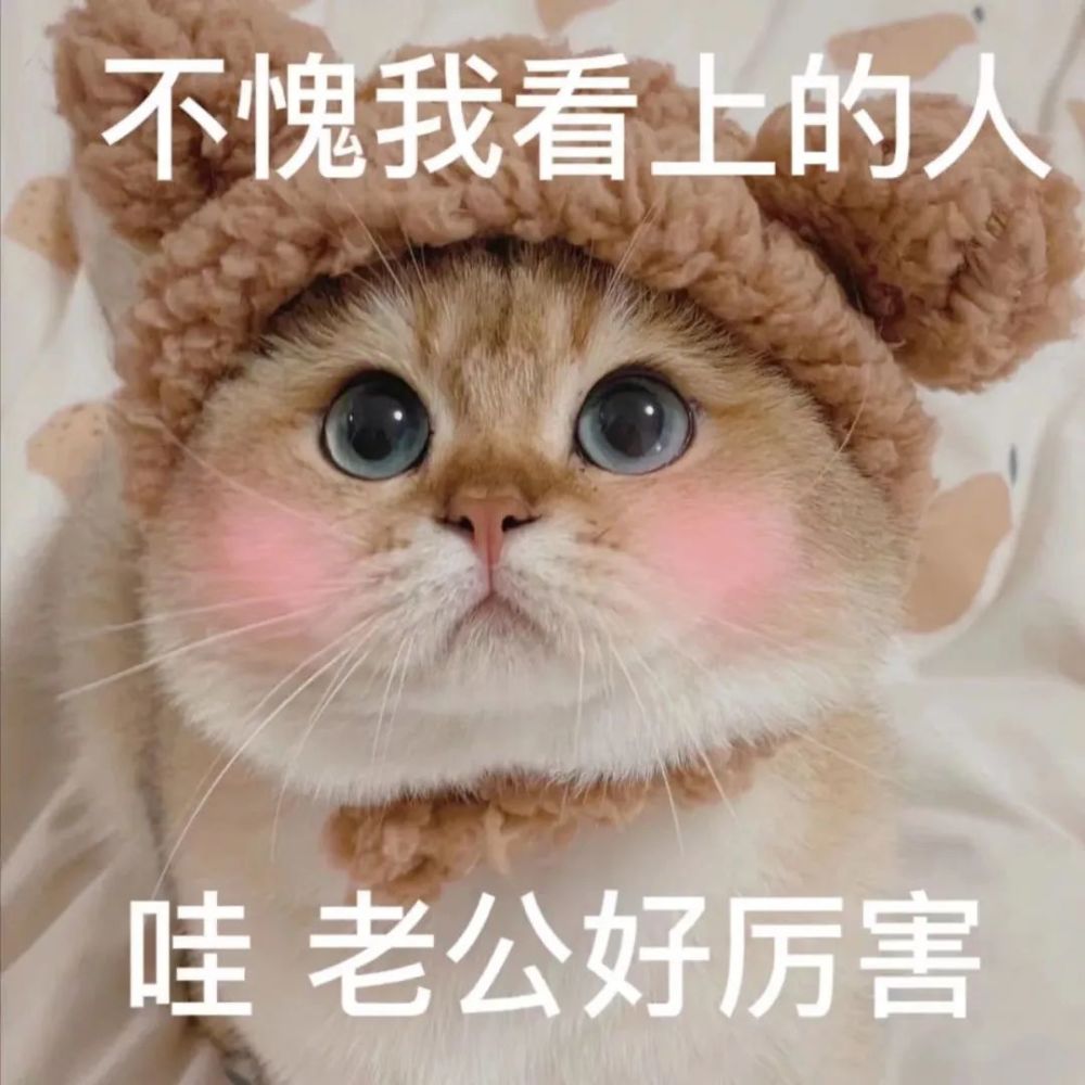 粘人怪系列!猫咪老公奴老婆奴表情包!