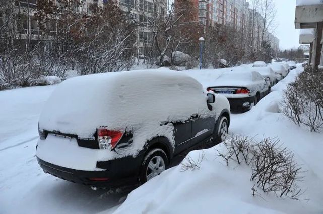 吉林省暴雪持续!多地出现冻雨!长春继续调整上学时间