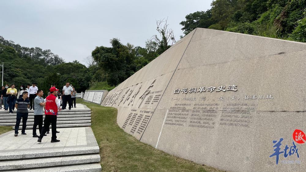 深圳光明白花洞图片