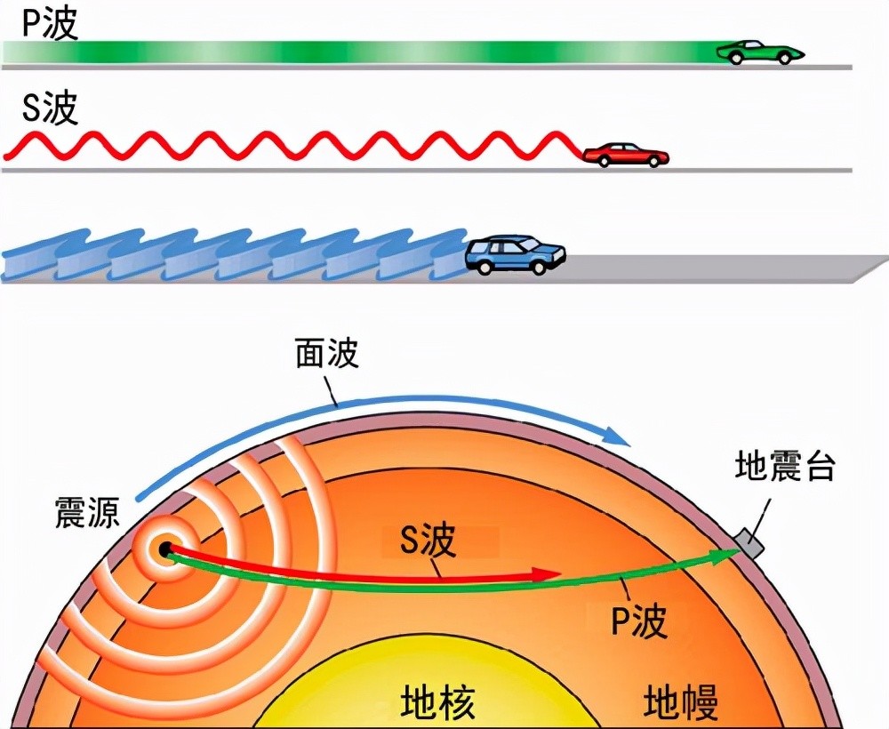台湾一小学突然冒出大量蚯蚓让人头皮发麻专家与地震无关