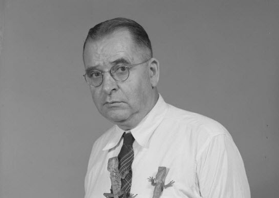 被非洲树蛇咬到会怎么样?他作死尝试,全身寒冷,体内大出血而亡