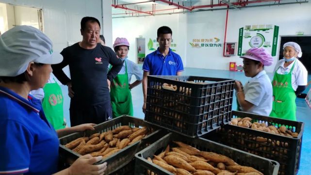 安順紫運薯來食品有限責任公司農產品深加工讓村民家門口上班