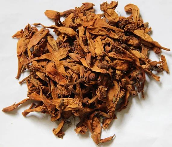 每天学一味中药闹羊花