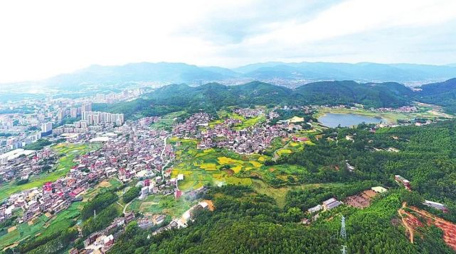 南安梅山明新村:赋能乡村振兴,提升村民幸福感获得感
