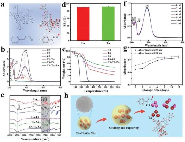 图2纳米球和水凝胶的表征图1 cs基水凝胶的合成过程和潜在的凝胶化