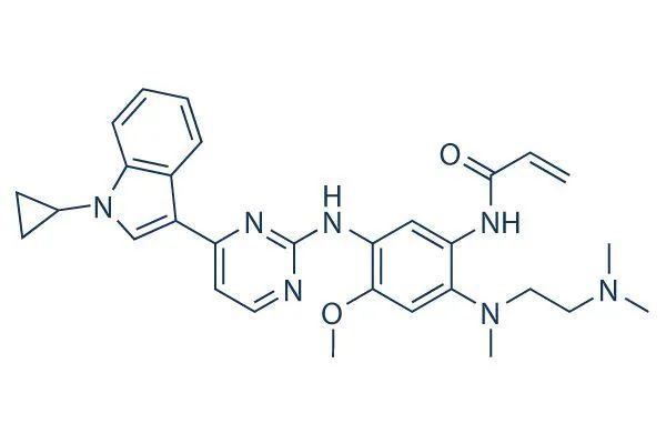 近20年我國自主研發的小分子藥物合集!