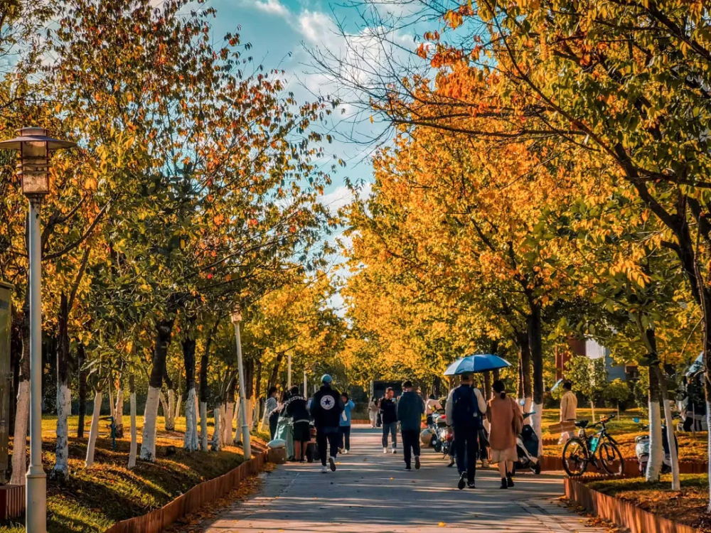 生日快樂雲南民族大學