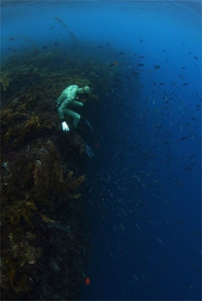 深海恐懼症,巨物恐懼症測試,你能成功過關嗎?最後一張大恐怖!