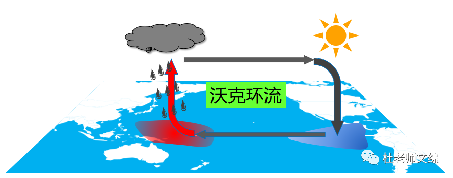 (一)沃克环流二,探求新知问题:澳大利亚的森林大火是天灾还是人祸?