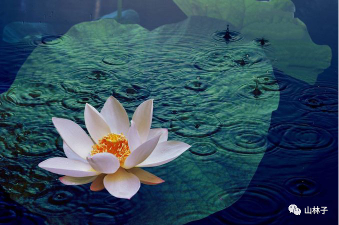 无声无息无形现 虚静空寂性不易 周行不殆恒循环 万物根本化生母 强名