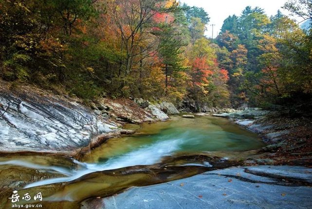 深秋鹞落坪层林尽染,美景宛如童话世界