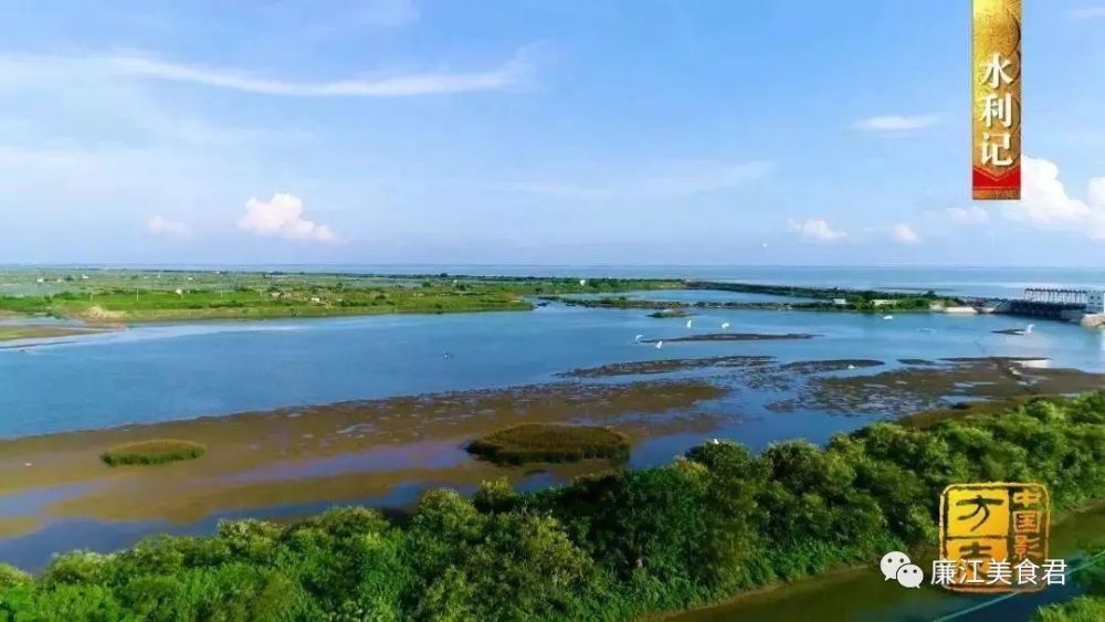 湛江廉江有什么好玩的地方景点 - 实验室设备网