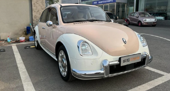 欧拉芭蕾猫实车现身男网友买它只是为了加车友群