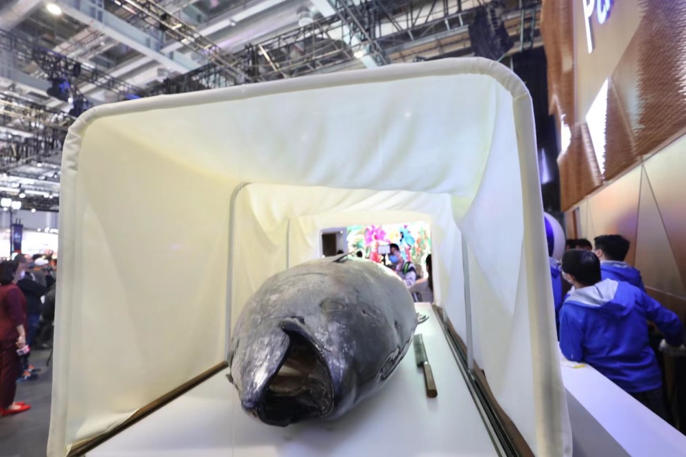 多图 进上海的最大一条蓝鳍金枪鱼今天 开刀 光解剖就要近3个小时 热点聚焦 承留资讯网