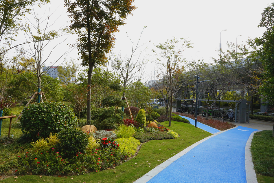 这条6000米环社区绿道建成了!沿途赏心悦目,像走在春天里