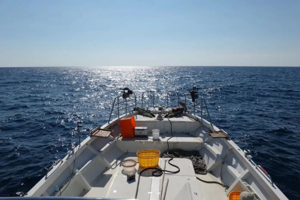 海钓有不同类型,海洋环境复杂,需要更科学的方式对待才能保障安全往返