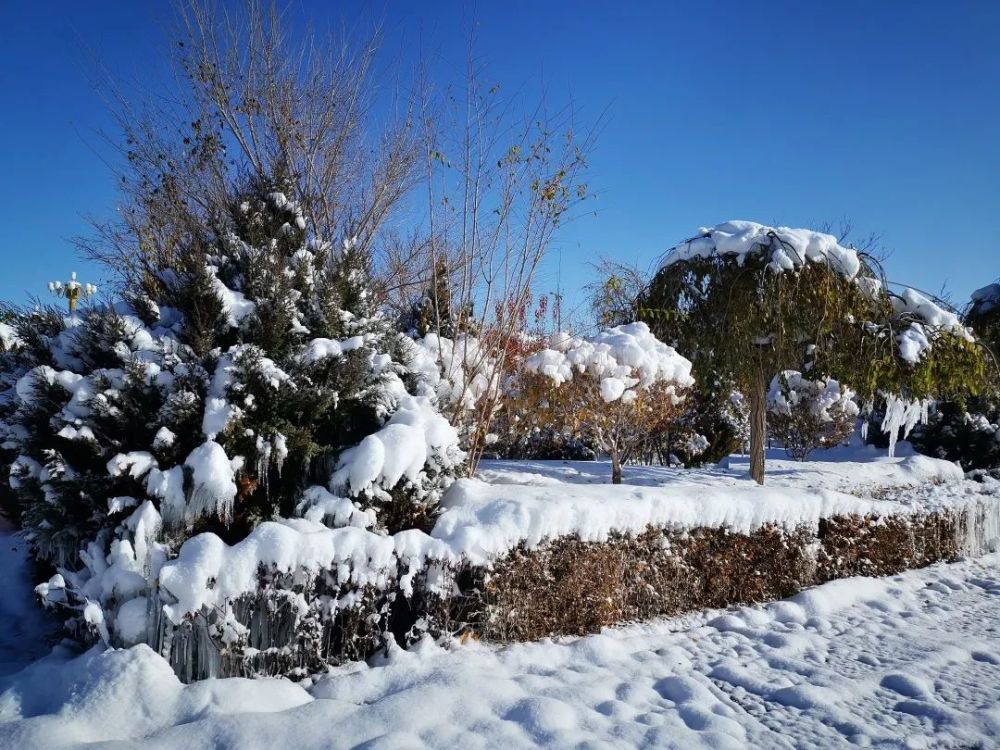 一夜入冬玉門下雪了