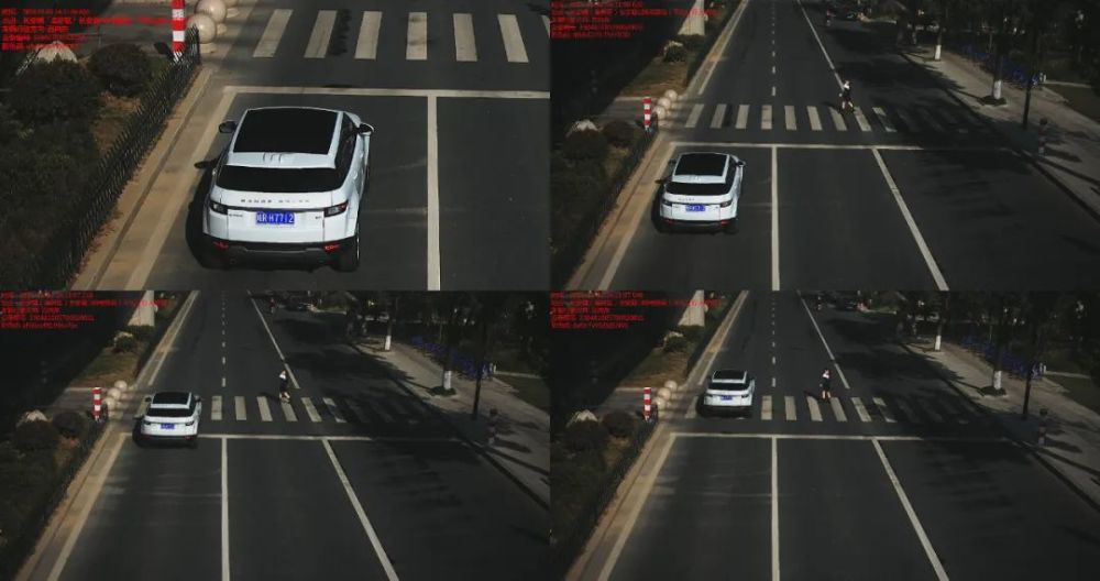 曝光!海宁这些机动车在斑马线前未礼让