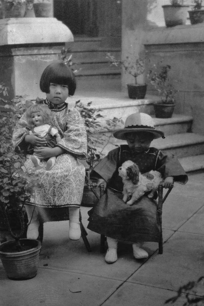 李鸿章把年轻女儿许配给年老大臣,不料两人子孙却成家喻户晓名人