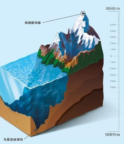 马里亚纳海沟自由遨游的软体机器鱼——力学,材料与控制