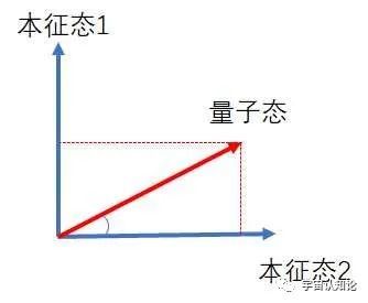硬核科普量子力学中为什么观测会导致坍缩