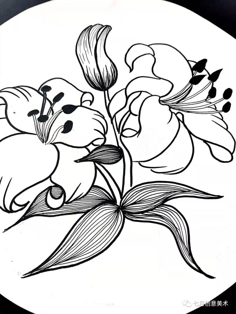 笔刻画花瓣的纹路注意线条的美感和花朵的方向结构画线条画出画面整体