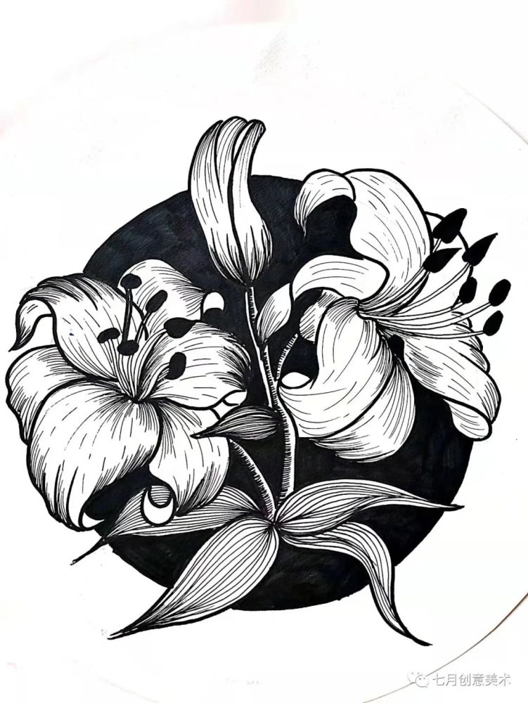 绘画教程百合花