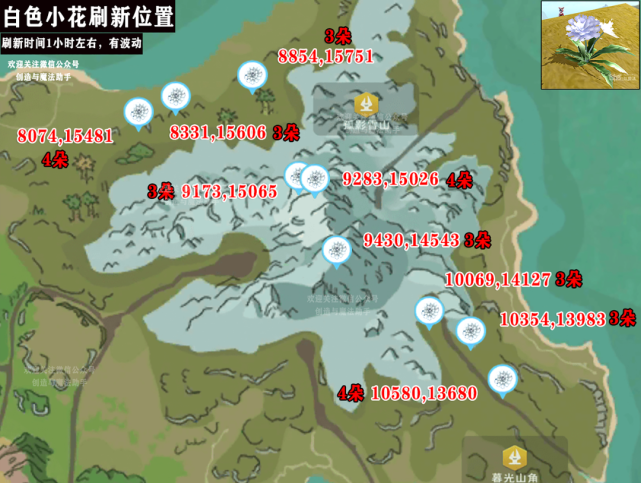 创造与魔法最新版白色小花分布位置图1106
