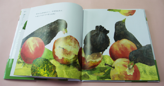苹果成长过程绘本图片