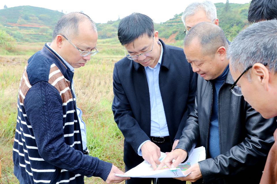 周乃松深入南阳镇开展再学习再调研再落实活动