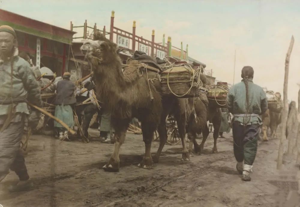 北京拟出台新规防范“烂尾楼”专家：对全国其他城市有借鉴意义关于勤奋和懒惰的英语作文