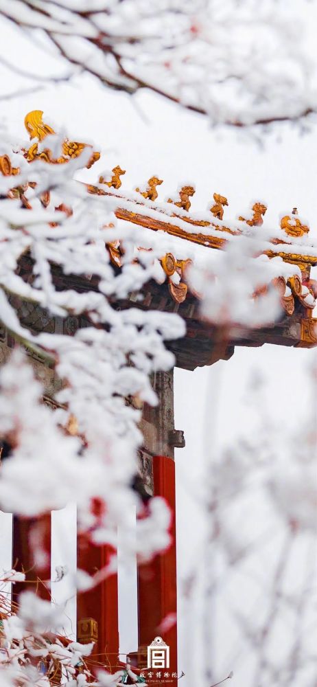 故宫雪景丨壁纸