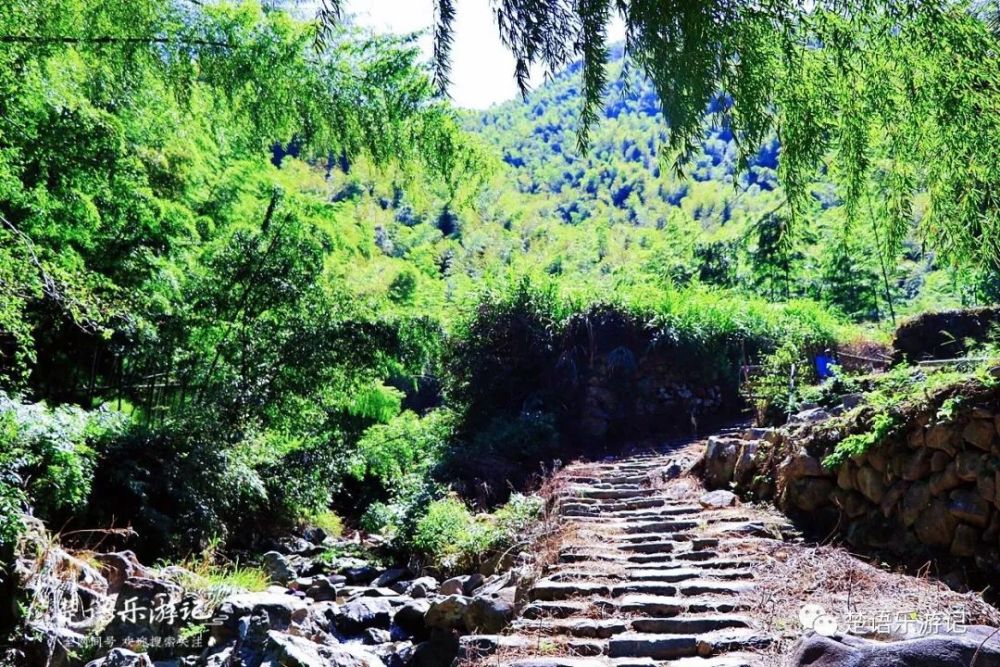 餘姚這條古道連接兩大古村泉瀑參差竹木蒼翠居然沒人知道