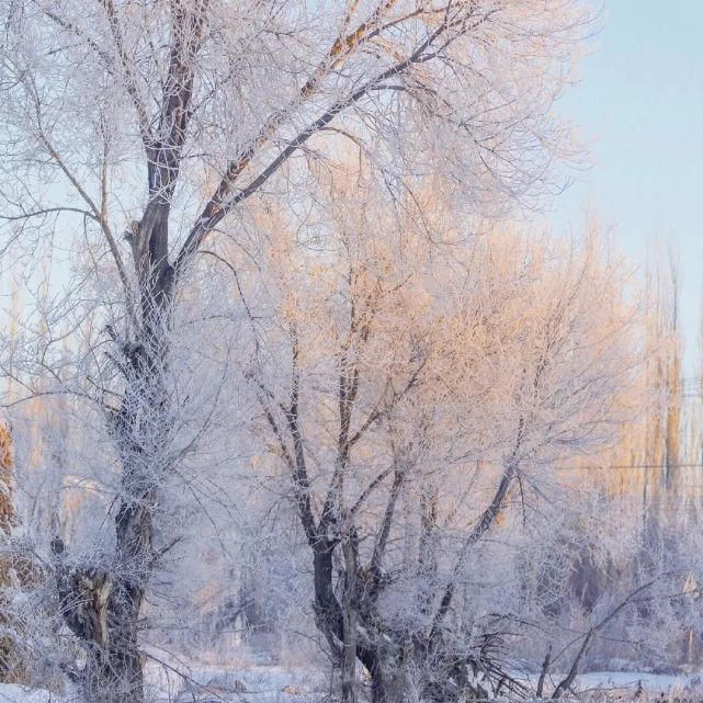 背景圖|適合冬天的下雪背景圖|冬天