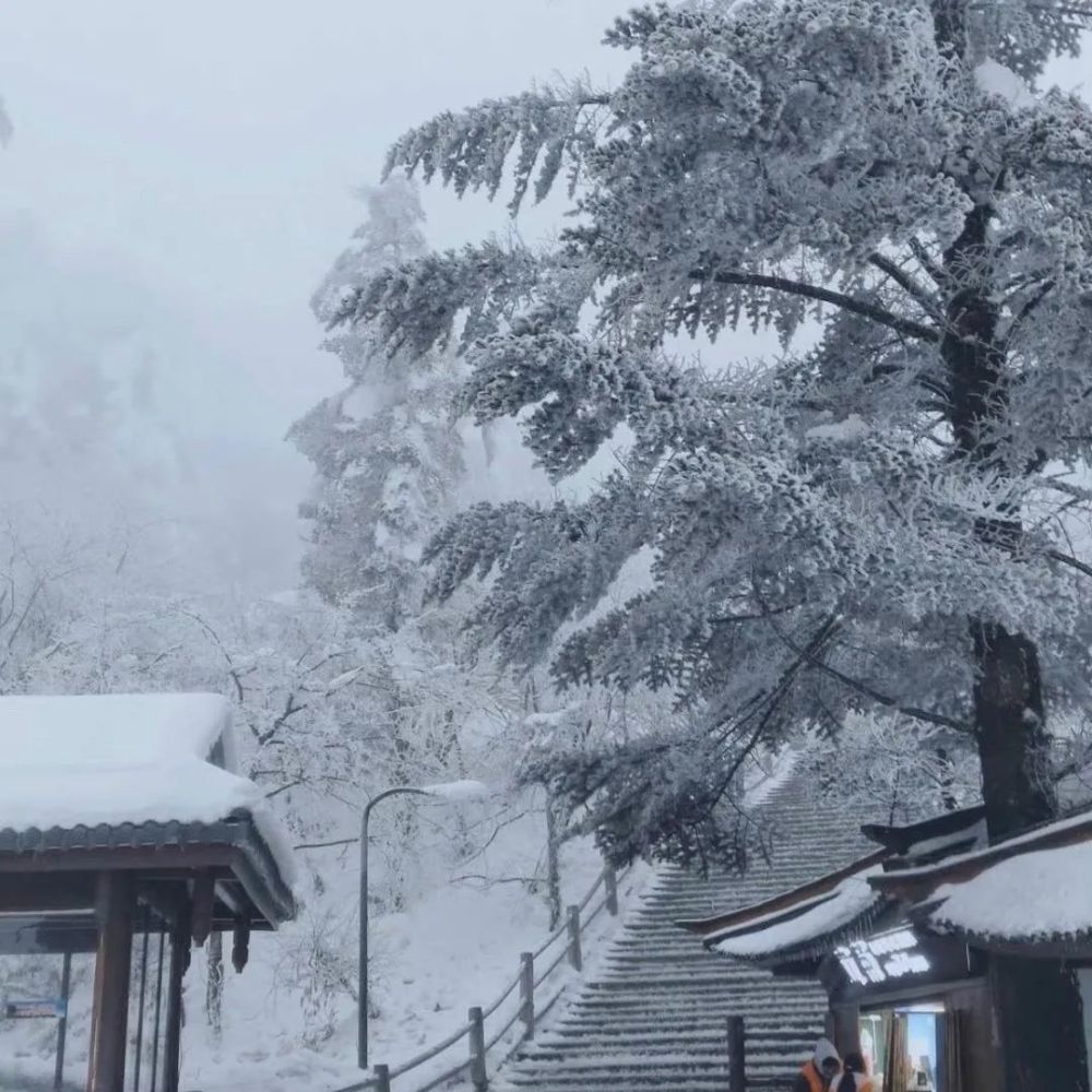 适合冬天的下雪背景图